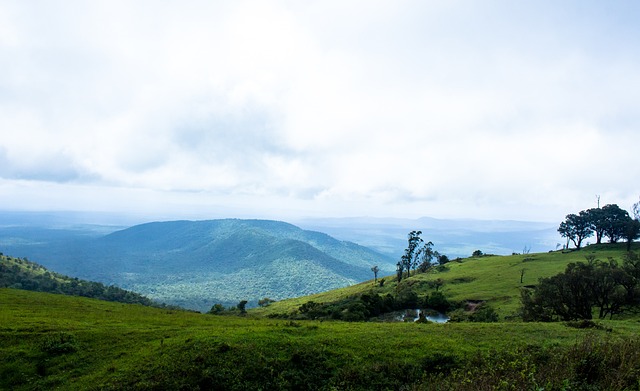杨瀚森NBA生涯首次首发，被打到面部痛苦倒地，裁判未及时吹停比赛引争议